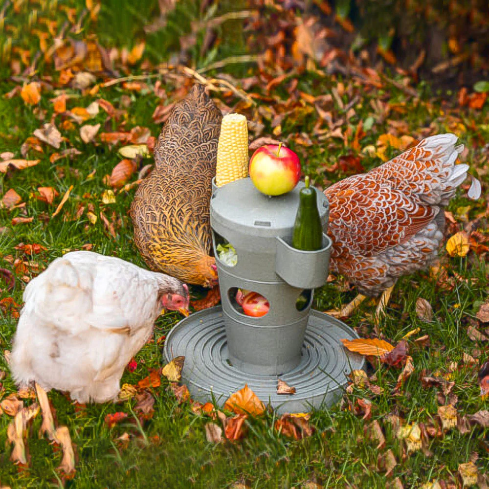 Snack per Pollame Ecologico / Tour Alimentare – Materiale 100% Riciclato - Image 11