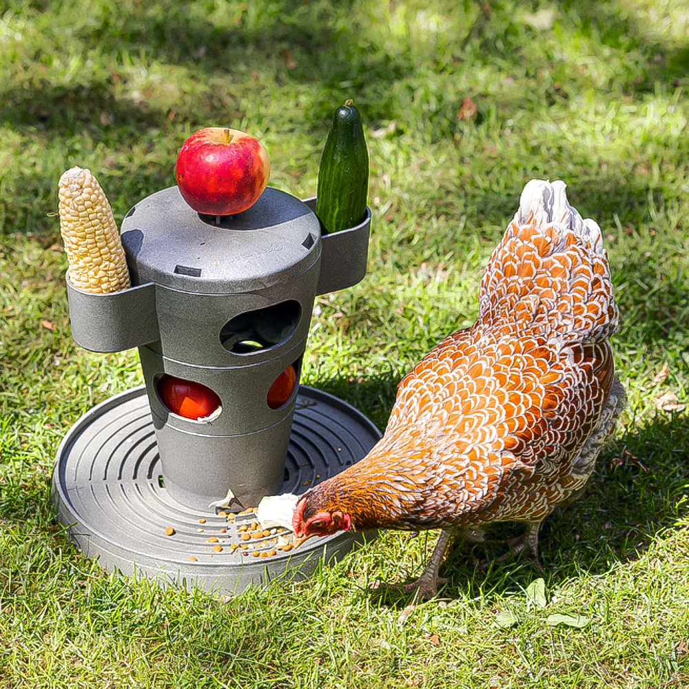 Snack per Pollame Ecologico / Tour Alimentare – Materiale 100% Riciclato - Image 12