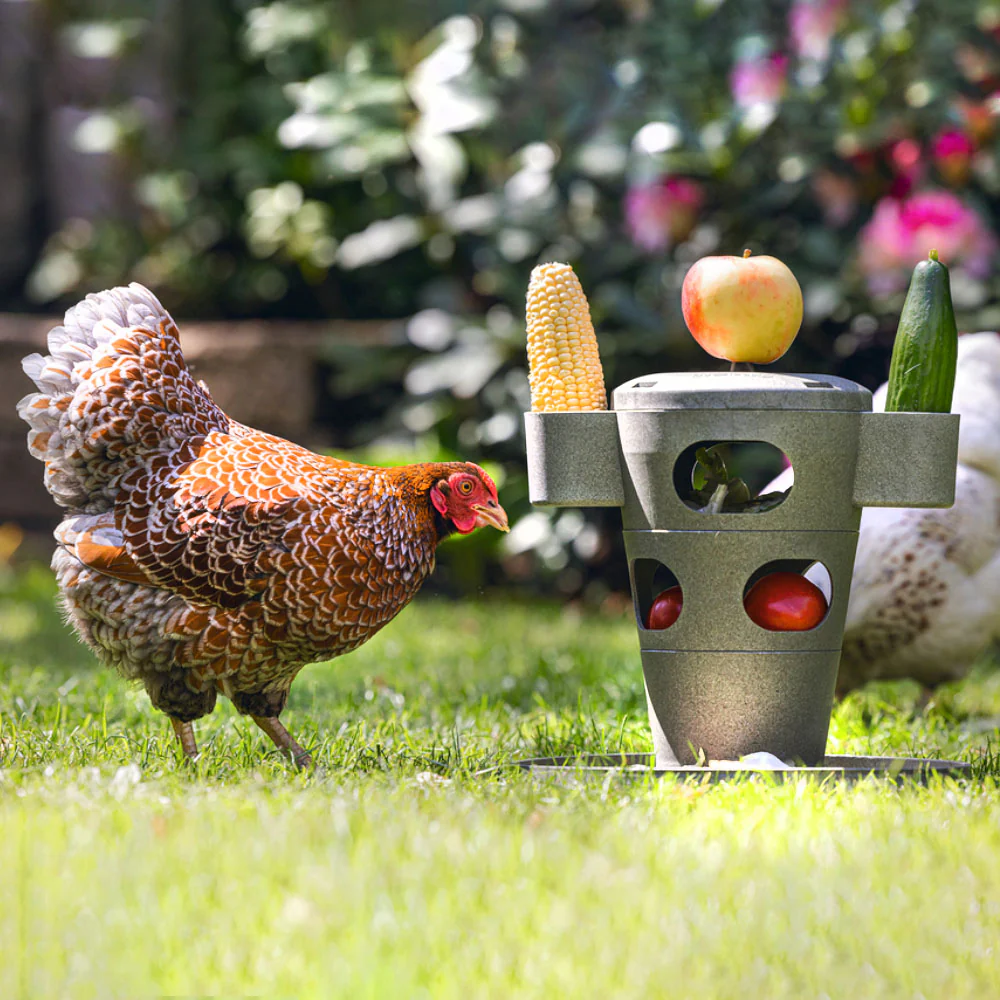 Snack per Pollame Ecologico / Tour Alimentare – Materiale 100% Riciclato - Image 14