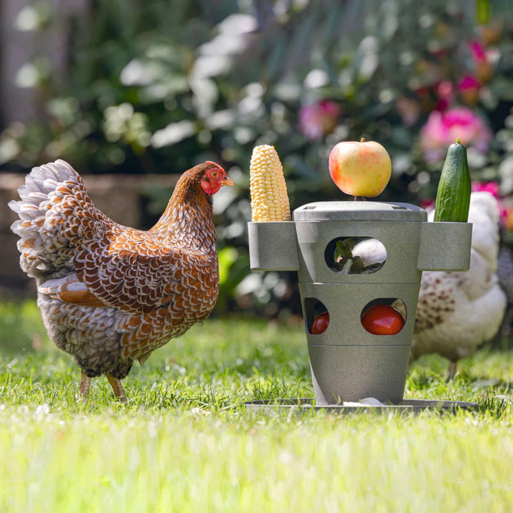 Snack per Pollame Ecologico / Tour Alimentare – Materiale 100% Riciclato - Image 15