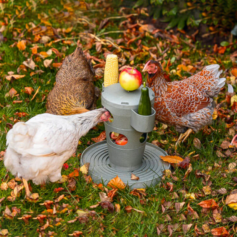 Snack per Pollame Ecologico / Tour Alimentare – Materiale 100% Riciclato - Image 2