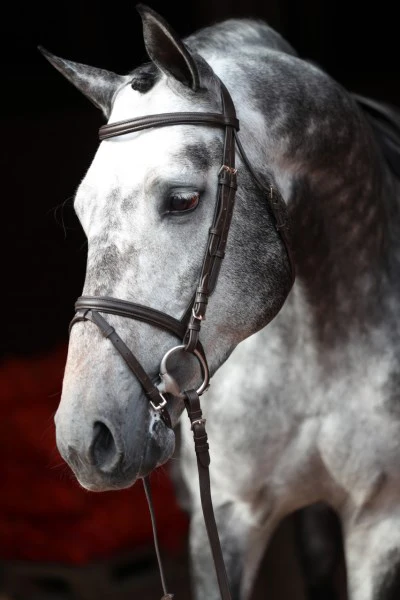 Snaffle Standard per Briglie - Image 3