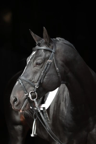 Snaffle Standard per Briglie - Image 6