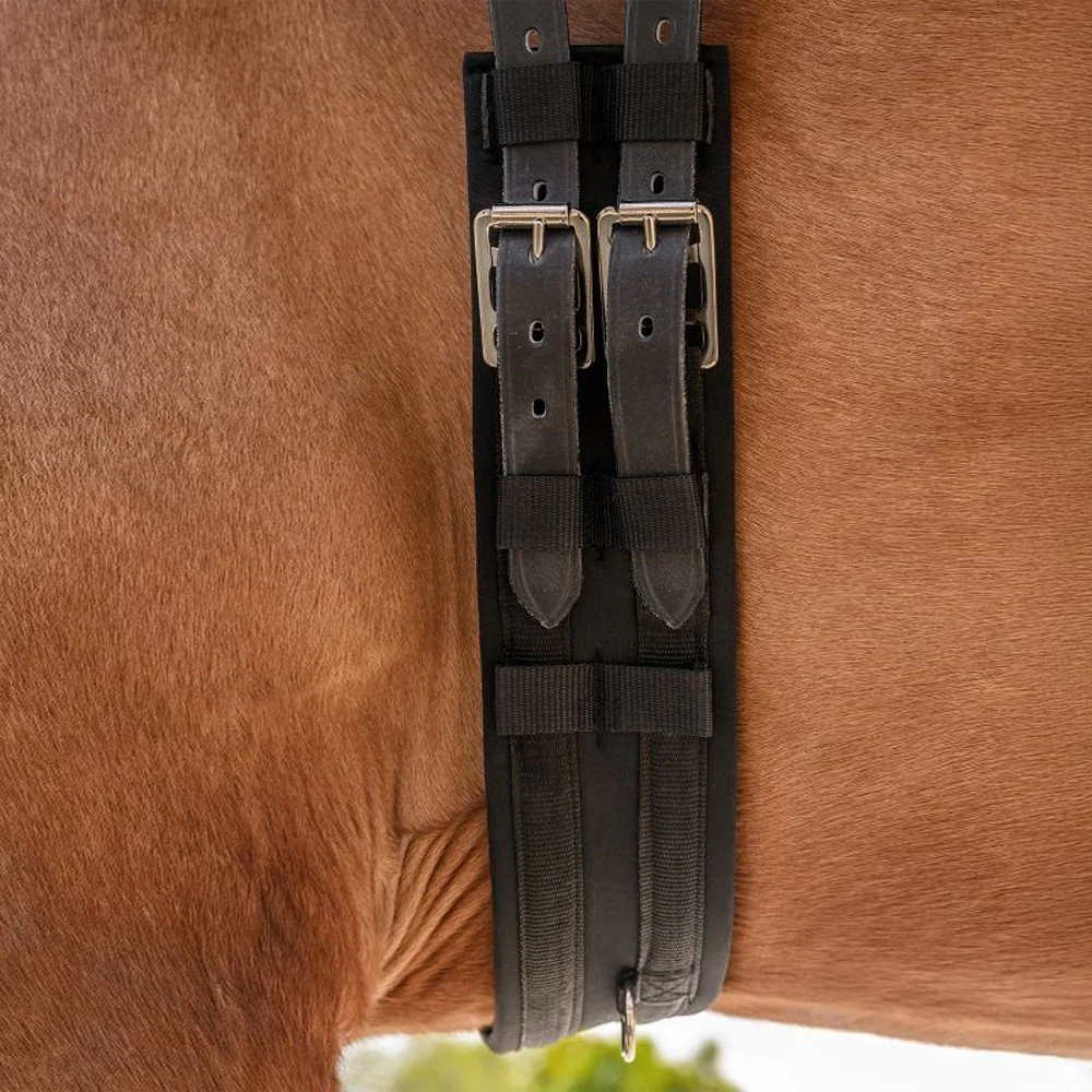 Sottopancia Corto Cavallo Economic Imbottito Resistente Base - Nero - Image 2