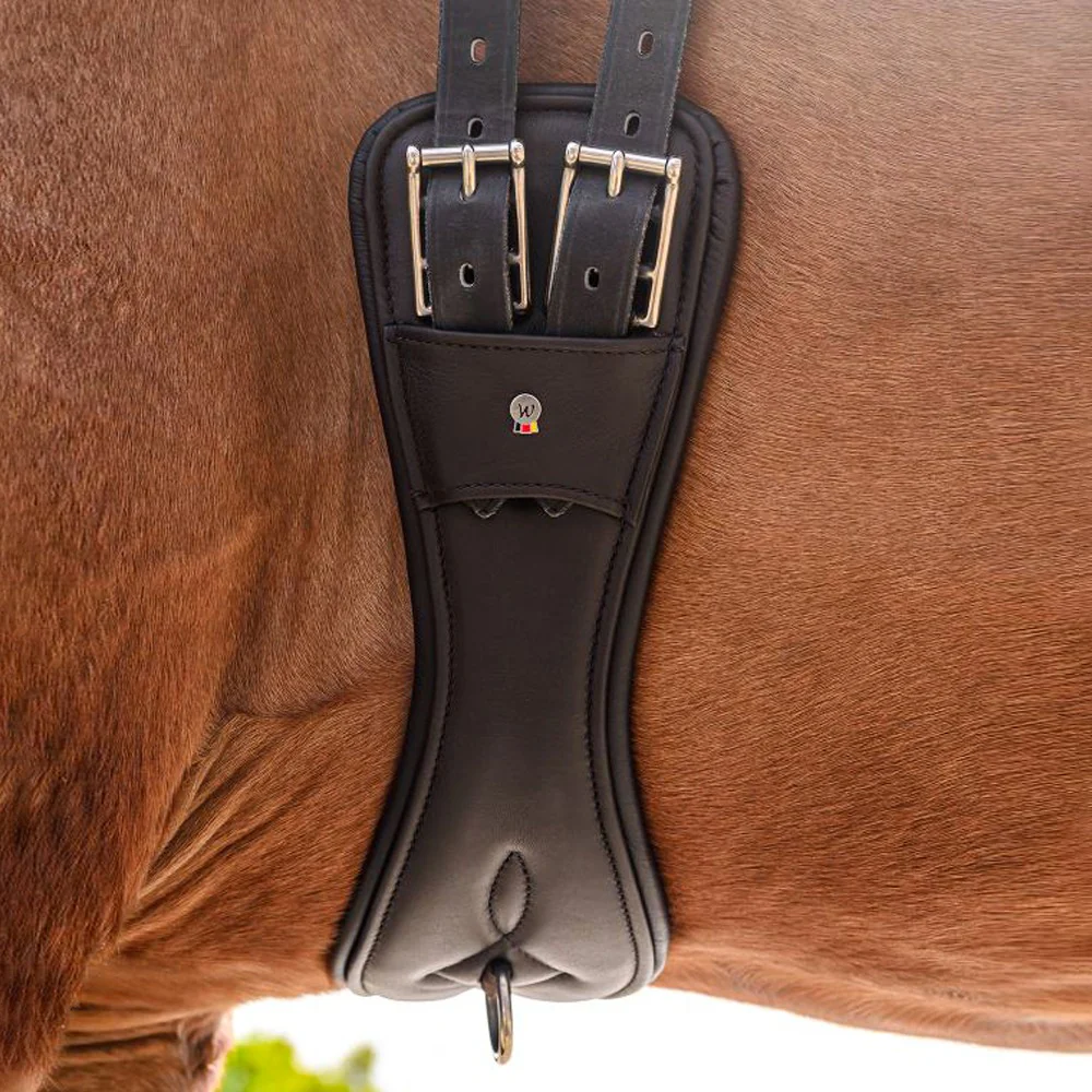 Sottopancia Corto in Cuoio Comfort per Cavalli - Image 6