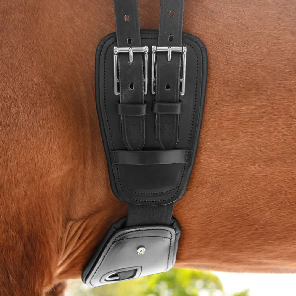 Sottopancia corto in cuoio elastico anatomico per cavallo - Image 2