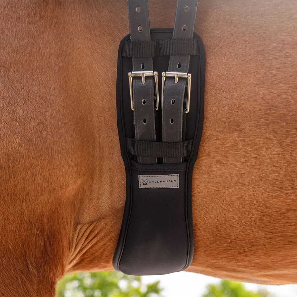 Sottopancia Dressage con Gel per Cavalli - Image 2