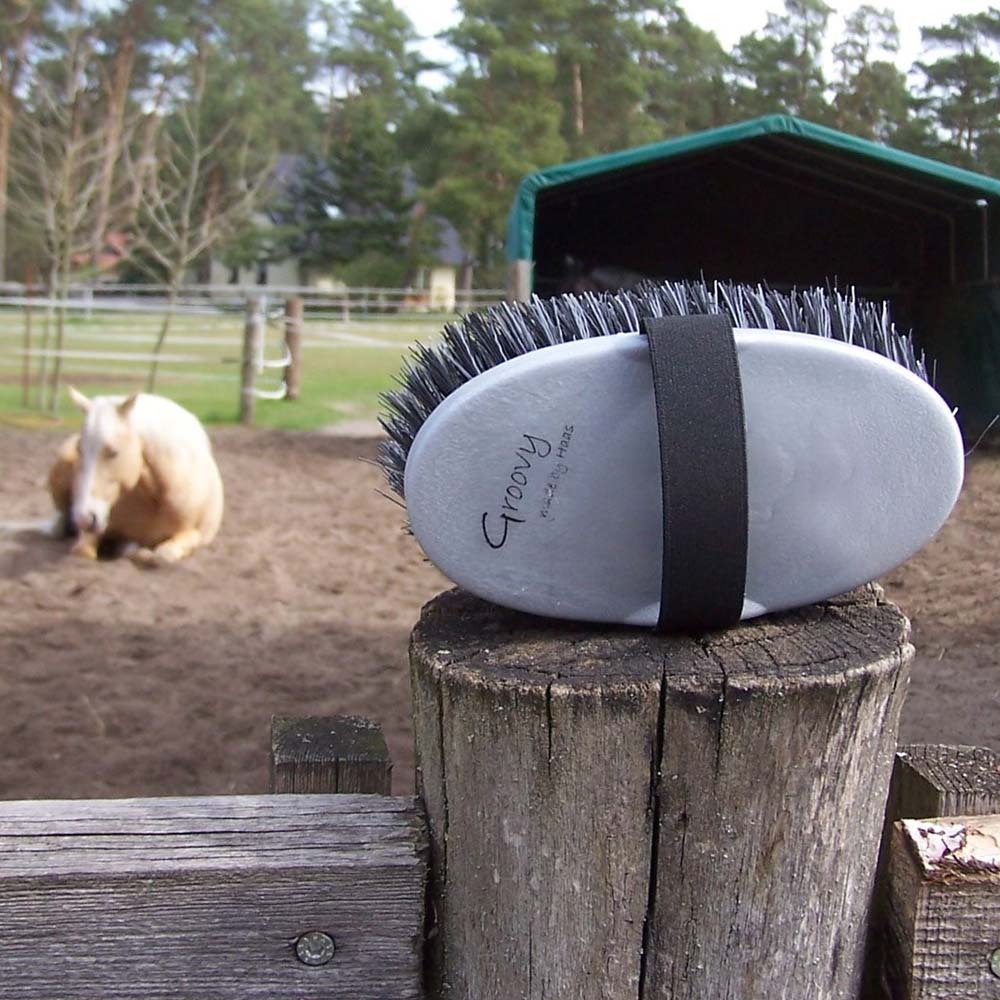 Spazzola cavallo Groovy con setole morbide e cinghia elastica - Image 9