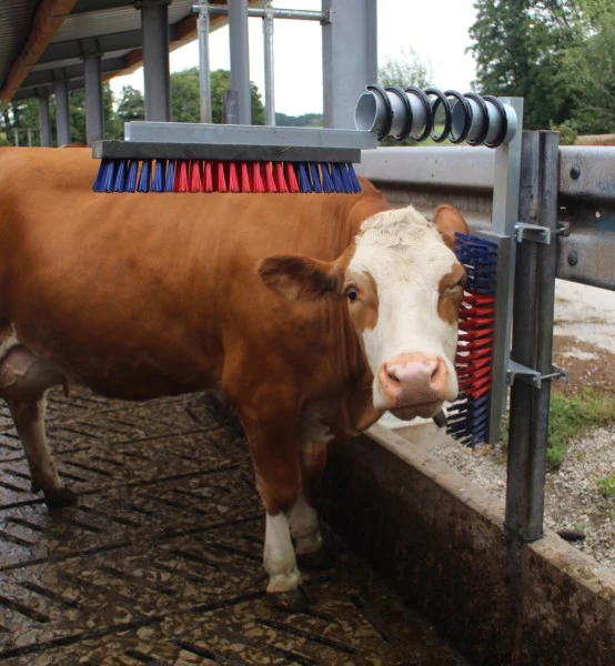 Spazzola di ricambio in plastica rossa-blu euro farm per bovini - Image 4