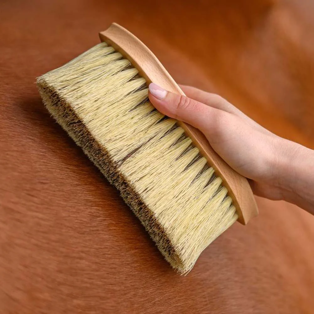 Spazzola Exclusive Line Cavallo per Cura del Pelliccia - Image 3