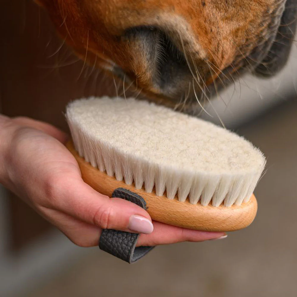 Spazzola per la cura del cavallo Exclusive Line - Image 3