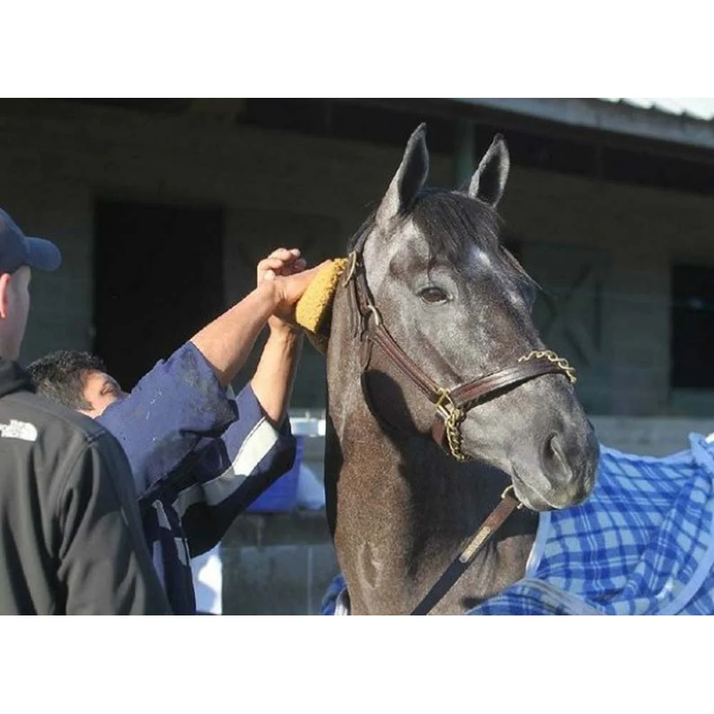 Spugna per grooming gialla - Image 5