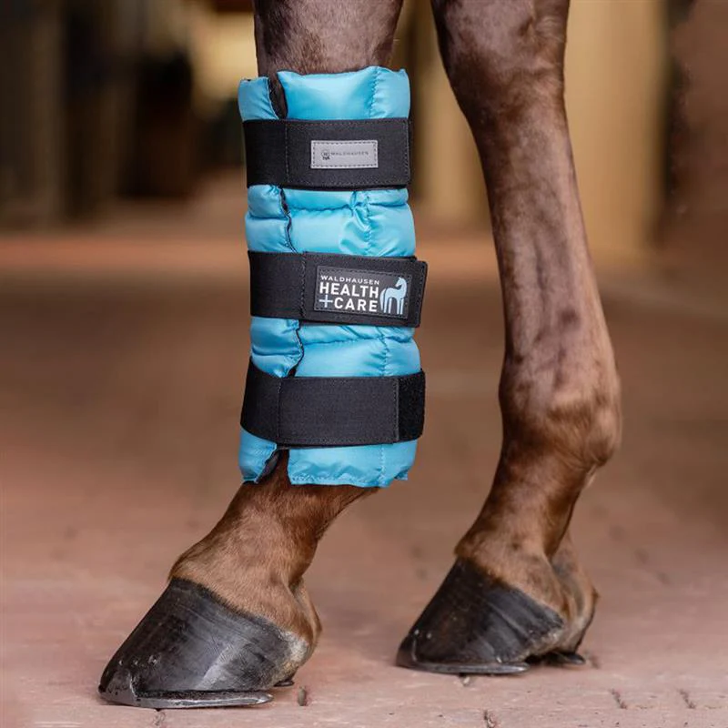 Stivale rinfrescante per la salute e la cura del cavallo - Benzina