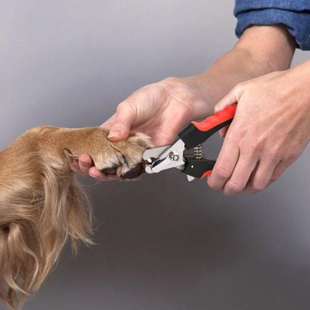 Tagliaunghie per cani con chiusura di sicurezza - Image 3