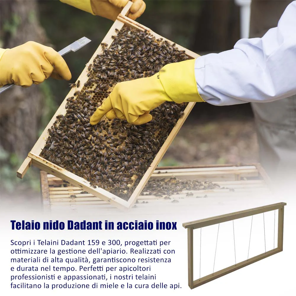 Telaio nido Dadant in acciaio inox - Image 4