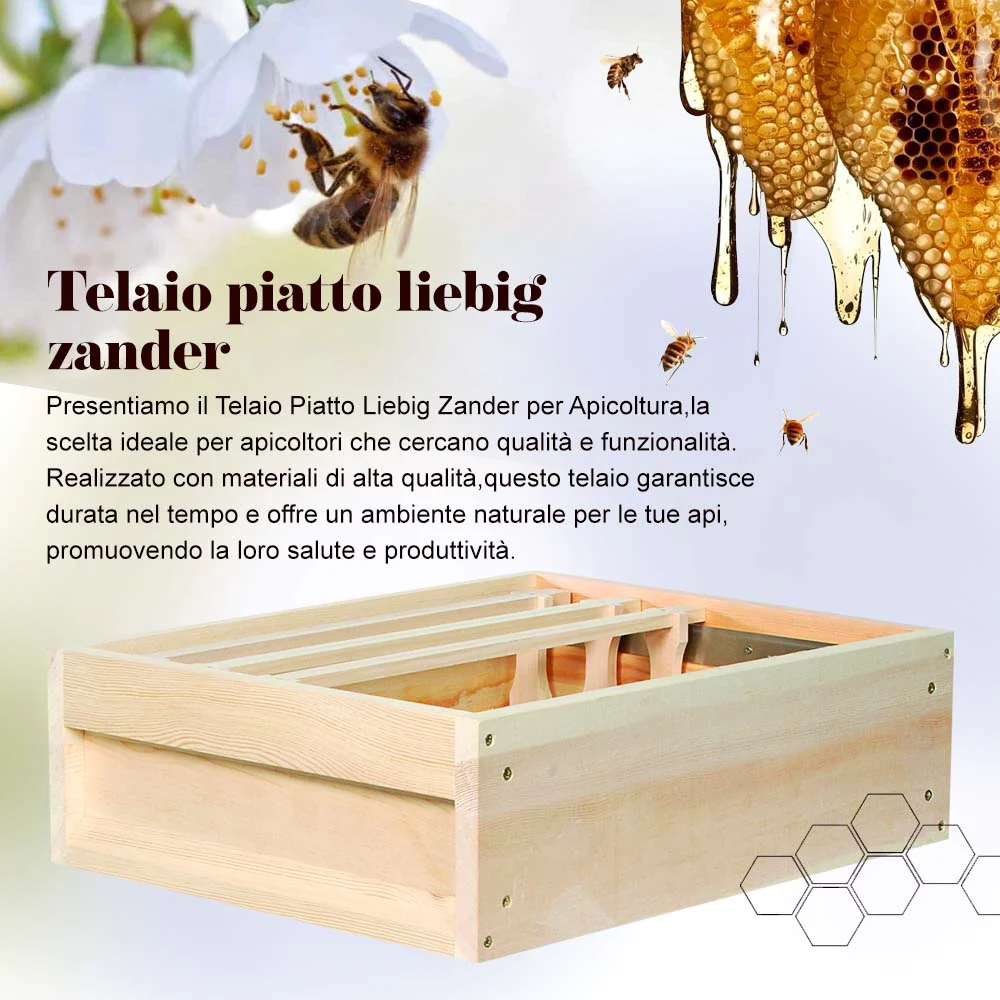 Telaio piatto liebig zander - Image 2