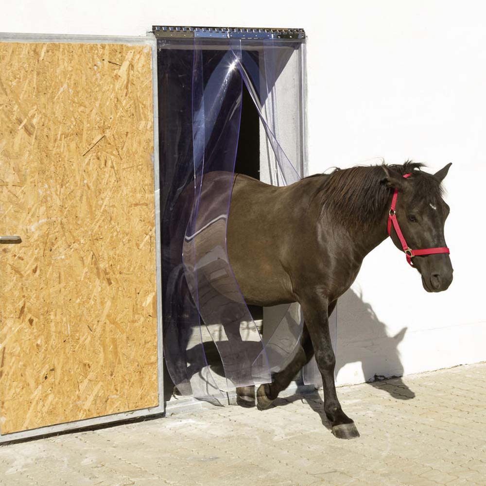 Tenda a Strisce PVC con Accessori Inox - 1m - Image 12