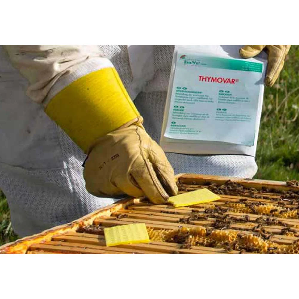 Thymovar strisce per il trattamento estivo contro la Varroa - 2 x 5 piatti - Image 11