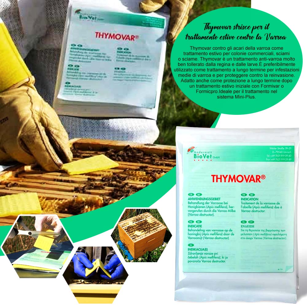 Thymovar strisce per il trattamento estivo contro la Varroa - 2 x 5 piatti - Image 4