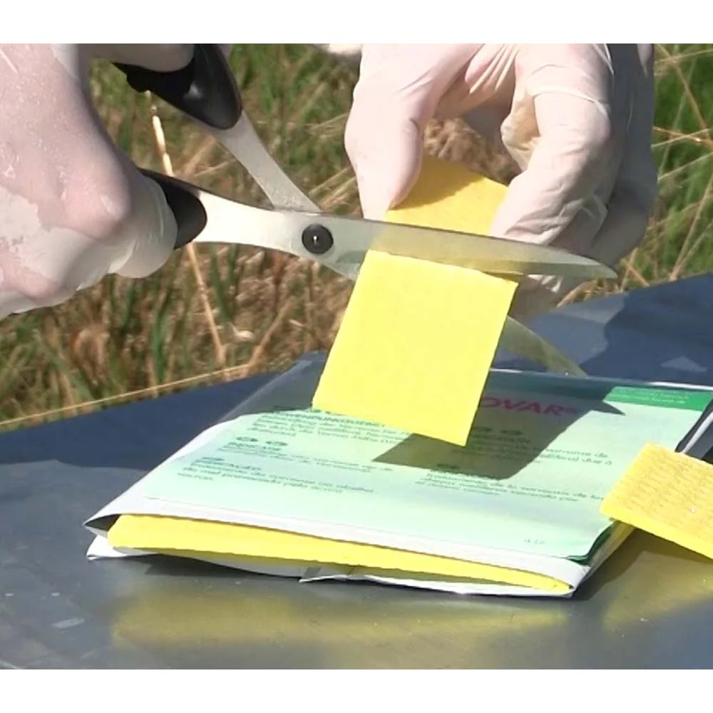 Thymovar strisce per il trattamento estivo contro la Varroa - 2 x 5 piatti - Image 6