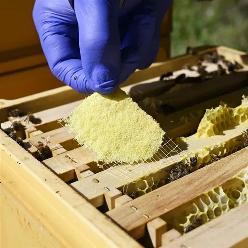 Thymovar strisce per il trattamento estivo contro la Varroa - 2 x 5 piatti - Image 7