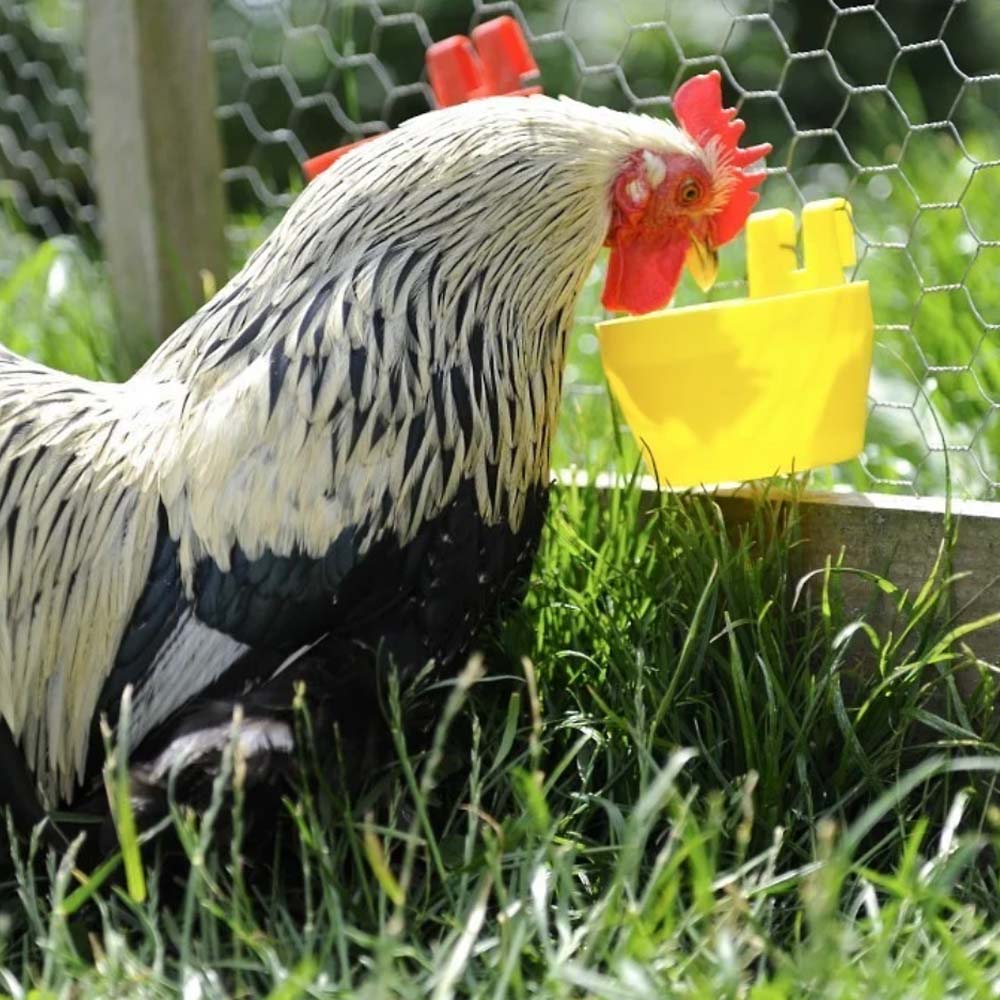 Vaschetta per mangime e acqua per gabbie - Image 15